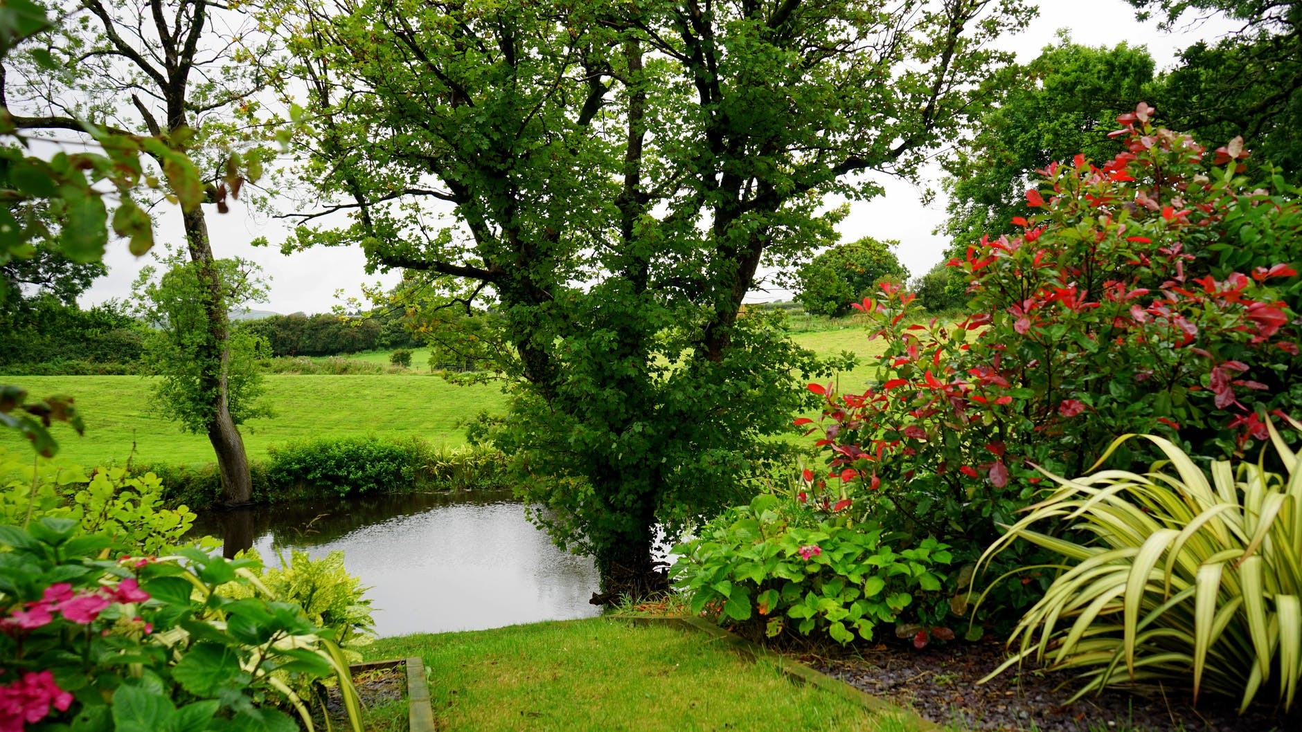 A large garden with pond